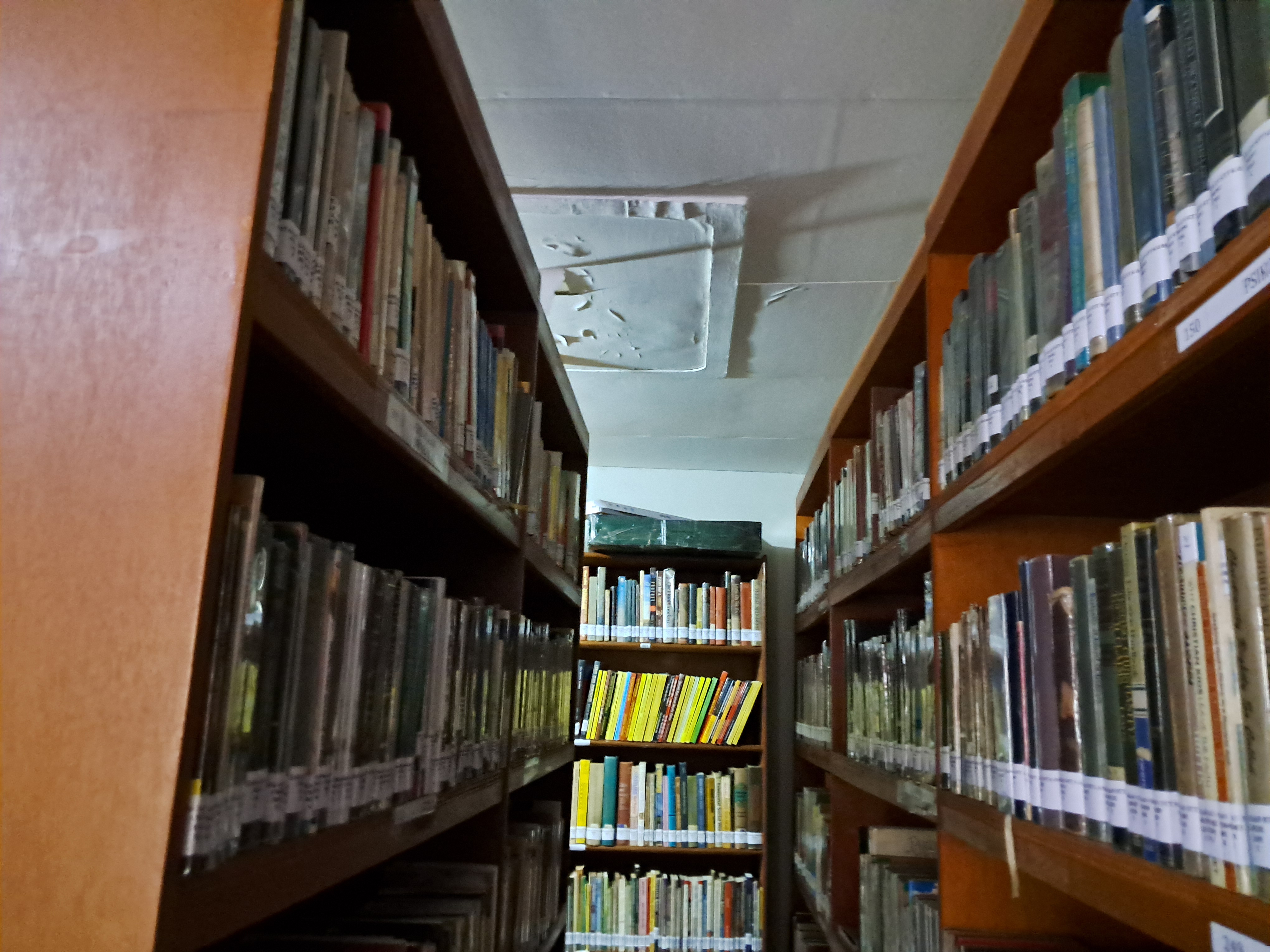 Perpustakaan